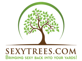 tree service sexy trees logo